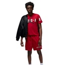 Чоловіча футболка JORDAN M J JD AIR STRETCH SS CREW DV1445-687