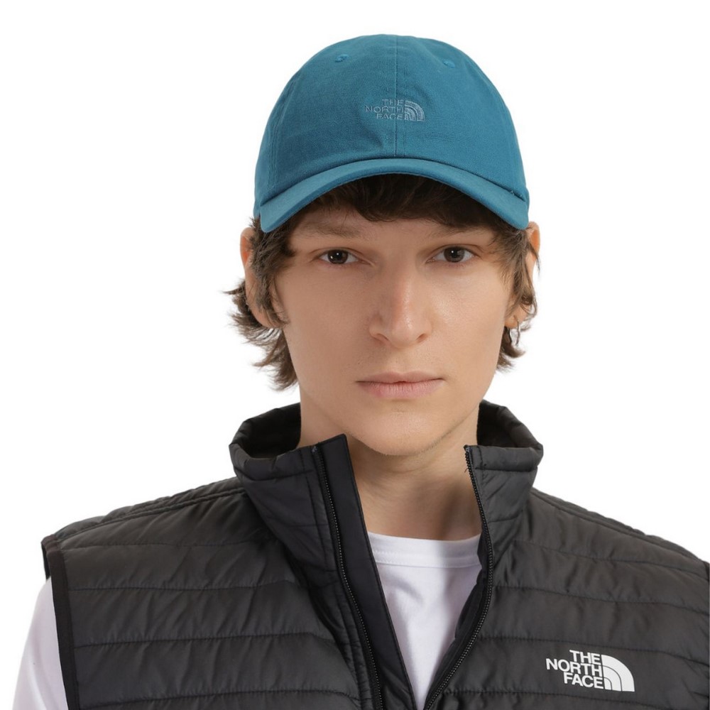 Кепка The North Face WASHED NORM HAT NF0A3FKNEFS1