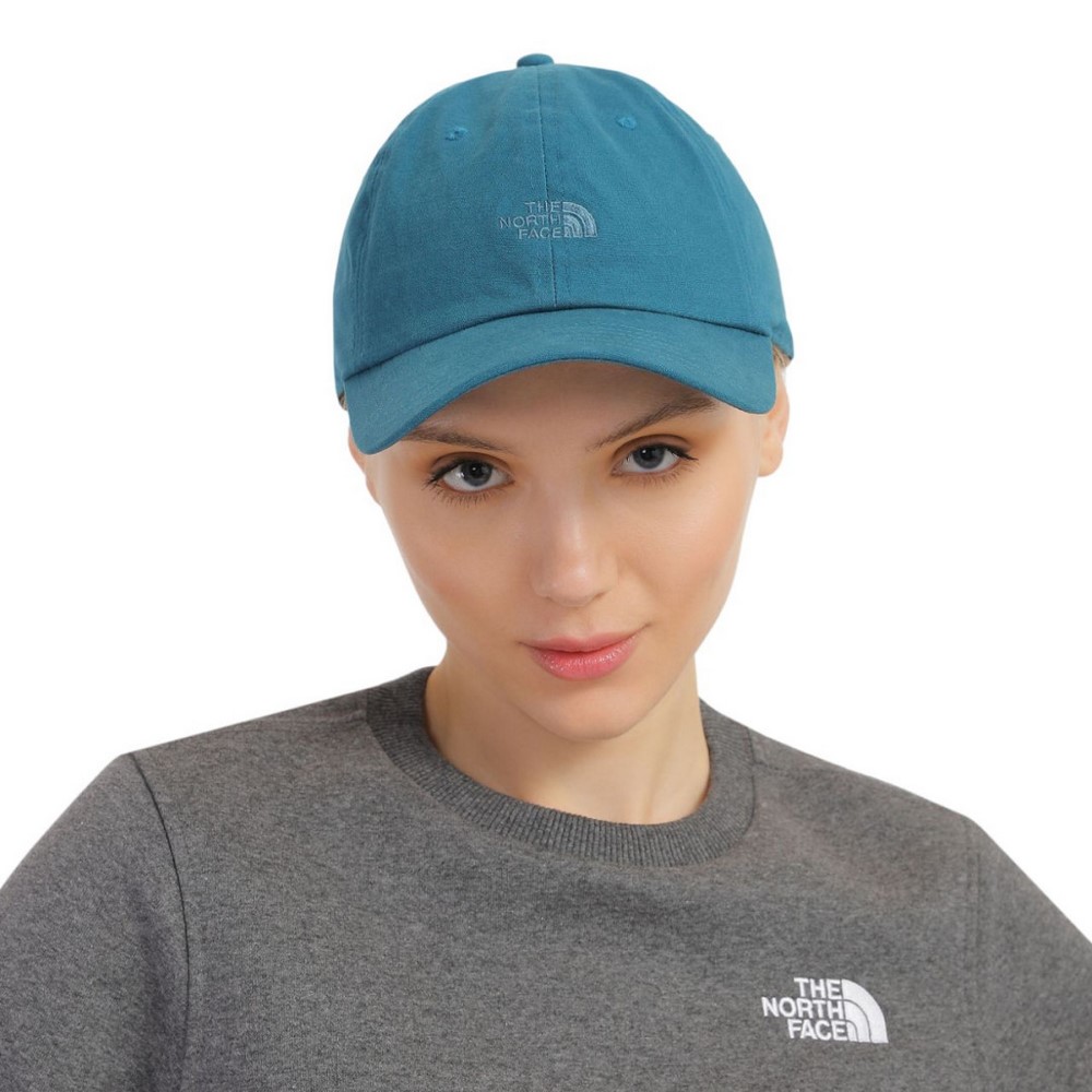 Кепка The North Face WASHED NORM HAT NF0A3FKNEFS1