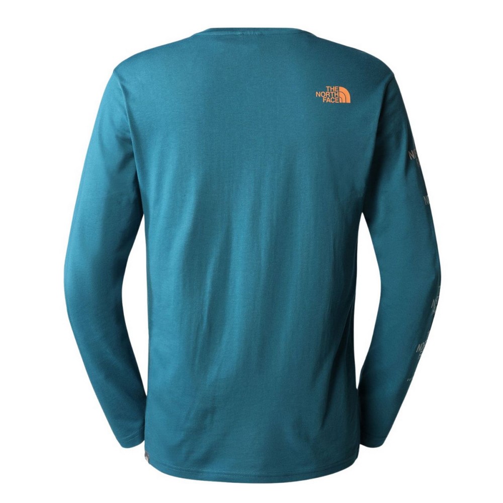 Чоловічий реглан The North Face M D2 GRAPHIC L/S NF0A83FPEFS1