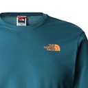 Чоловічий реглан The North Face M D2 GRAPHIC L/S NF0A83FPEFS1