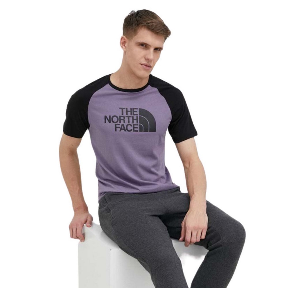 Чоловіча футболка North Face S/S RAGLAN EA NF0A37FVN141