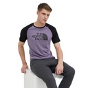 Чоловіча футболка North Face S/S RAGLAN EA NF0A37FVN141