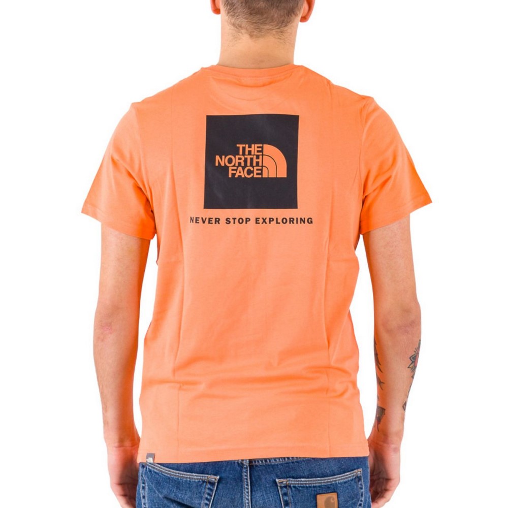 Чоловіча футболка The North Face M S/S REDBOX TE NF0A2TX2N6M1