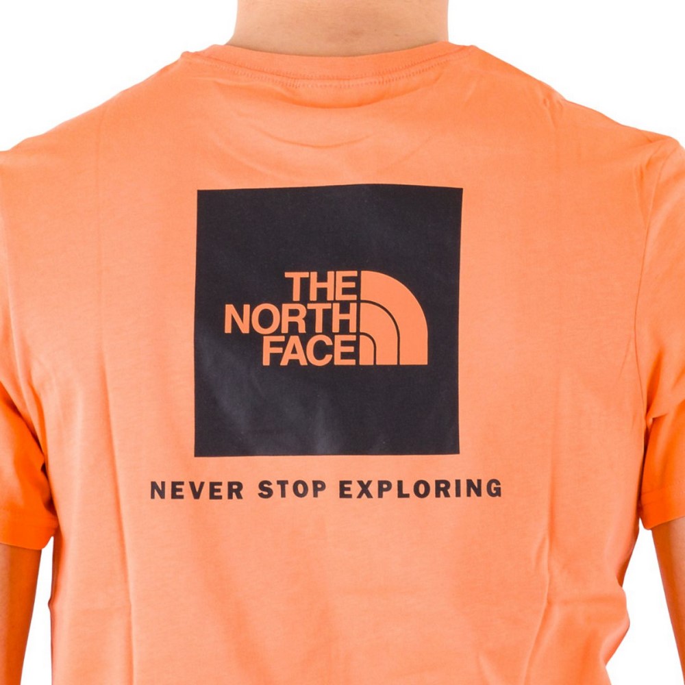 Чоловіча футболка The North Face M S/S REDBOX TE NF0A2TX2N6M1