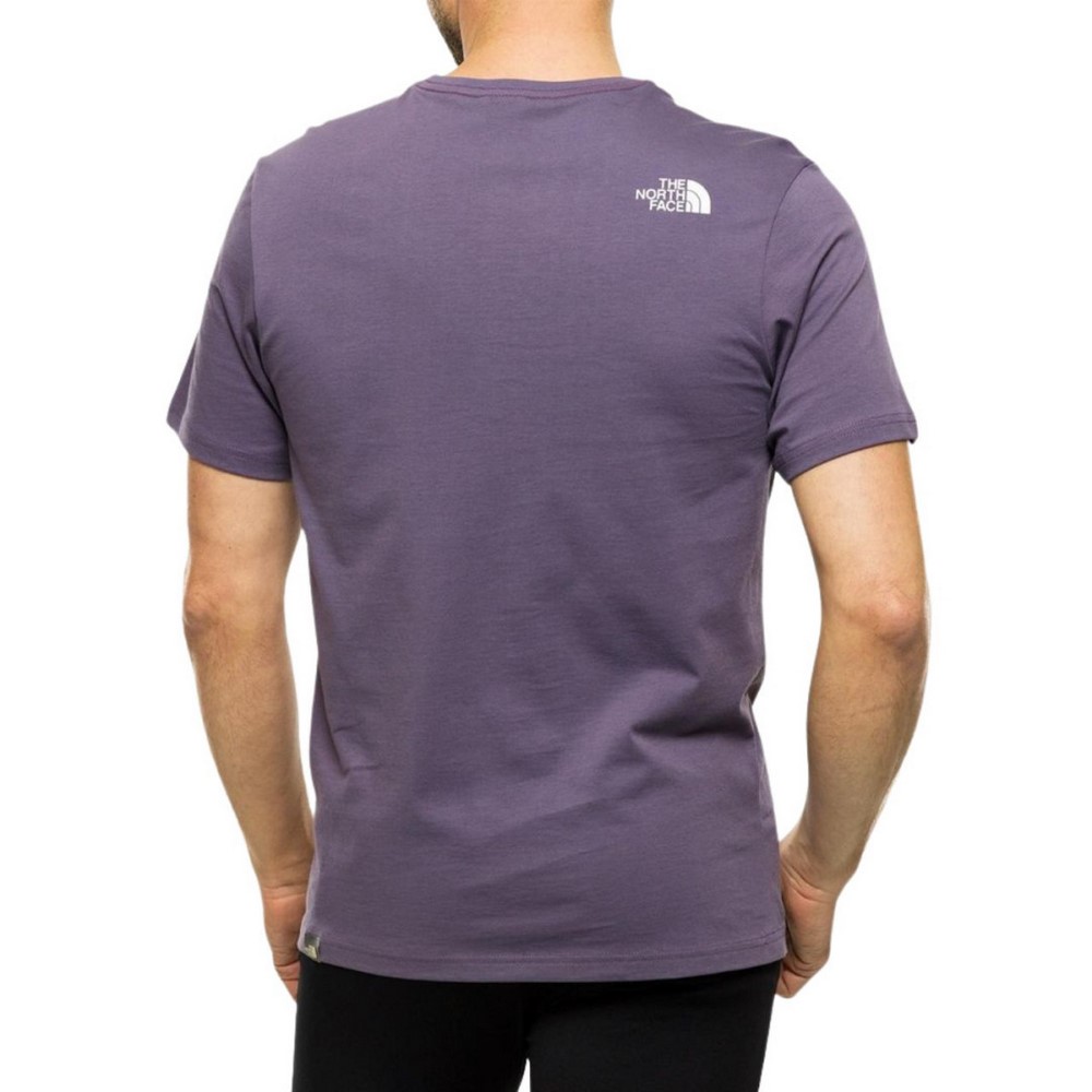 Чоловіча футболка The North Face Rust 2 NF0A4M68IWA1