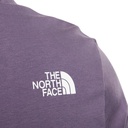 Чоловіча футболка The North Face Rust 2 NF0A4M68IWA1