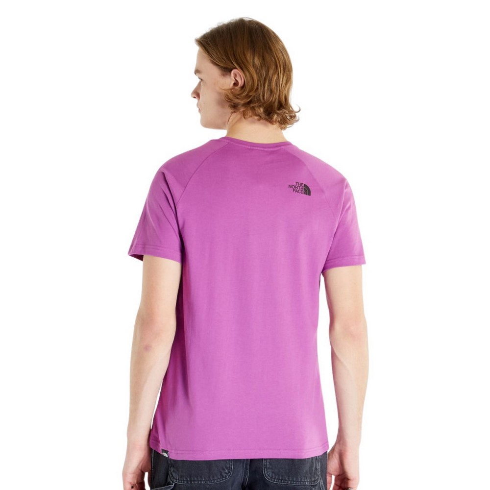 Чоловіча футболка The North Face S/S Raglan Redbox Tee NF0A3BQOLV11