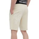 Чоловічі шорти The North Face GRAPHIC SHORT LIGHT NF0A3S4F3X41
