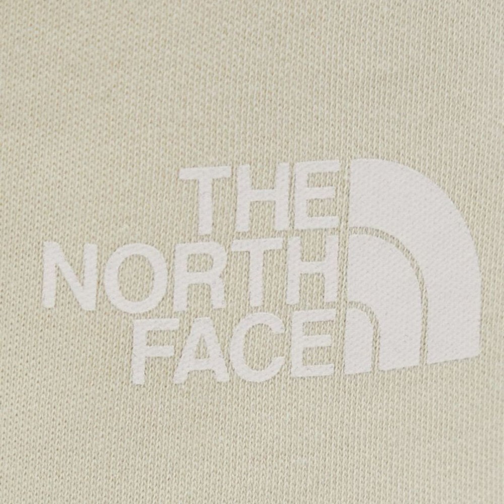 Чоловічі шорти The North Face GRAPHIC SHORT LIGHT NF0A3S4F3X41