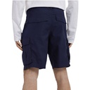 Чоловічі шорти The North Face M ANTICLINE CARGO NF0A55B68K21