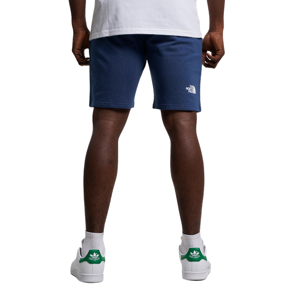 Чоловічі шорти The North Face STANDARD SHORT NF0A3S4EHDC1