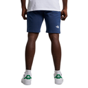 Чоловічі шорти The North Face STANDARD SHORT NF0A3S4EHDC1