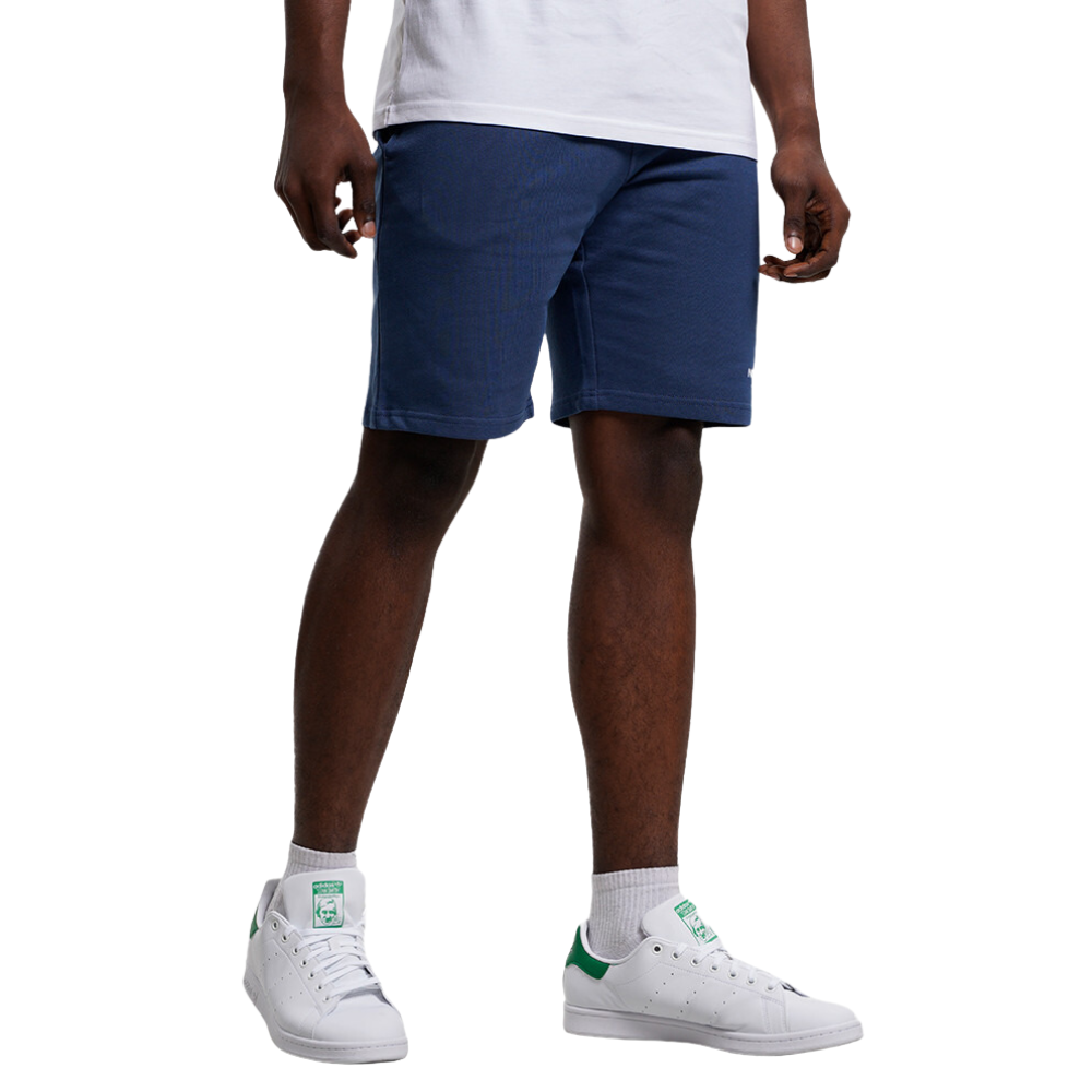 Чоловічі шорти The North Face STANDARD SHORT NF0A3S4EHDC1