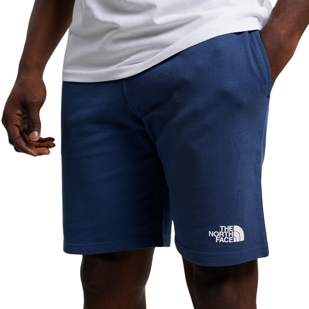 Чоловічі шорти The North Face STANDARD SHORT NF0A3S4EHDC1