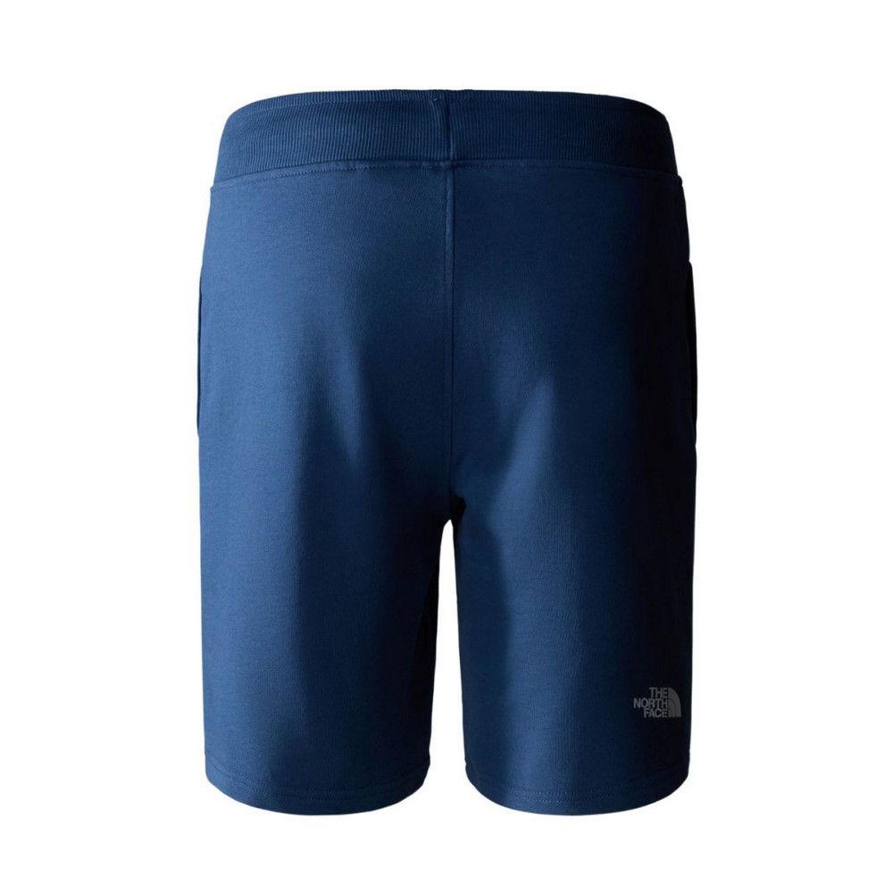 Чоловічі шорти The North Face STANDARD SHORT NF0A3S4EHDC1