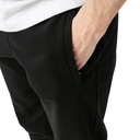 Чоловічі штани The North Face Nse Light Pant NF0A4T1FJK31