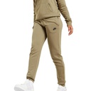 Жіночі спортивні штани Nike W NSW ESSNTL PANT REG FLC MR DX2320-351