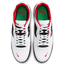 Чоловічі кросівки Nike SB ISHOD PRM L DZ5648-100
