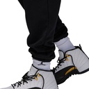 Чоловічі спортивні штани Air Jordan Wordmark Fleece Pants FJ0696-010
