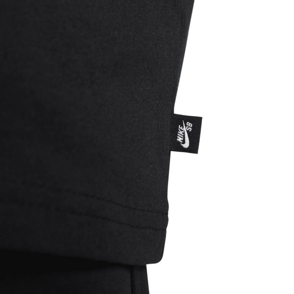 Чоловічий лонгслів Nike SB Skate-Longsleeve FJ1155-010
