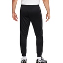 Чоловічі спортивні штани Nike M Nsw Sp Pk Jogger FN0250-010
