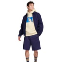 Толстовка унісекс Nike SB FLC CRW FRNTSDE AIR GX FN2556-113