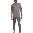 Чоловічі штани Nike NSW AIR MAX PK JOGGER FV5445-068