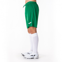 Чоловічі шорти Joma NOBEL 100053.450
