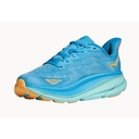 Жіночі бігові кросівки Hoka One One W CLIFTON 9 1127896-SDY