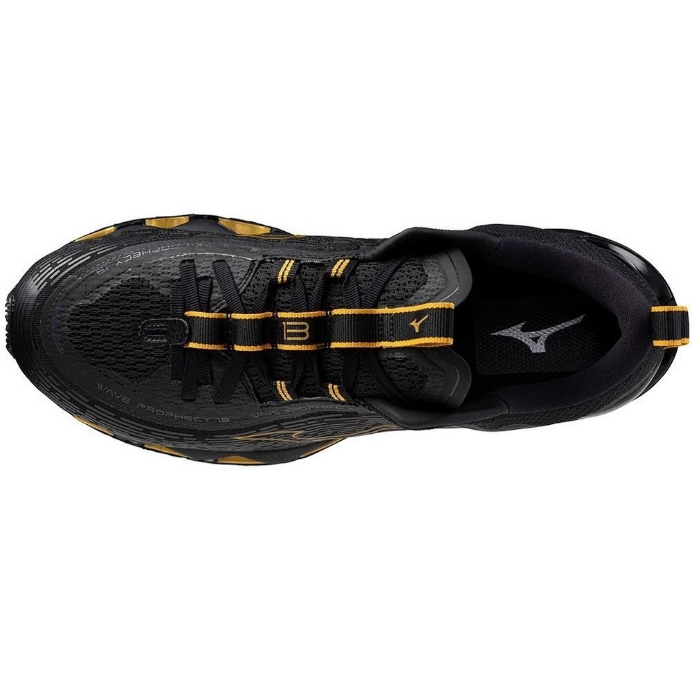 Чоловічі бігові кросівки Mizuno WAVE PROPHECY 13 J1GC2451-32