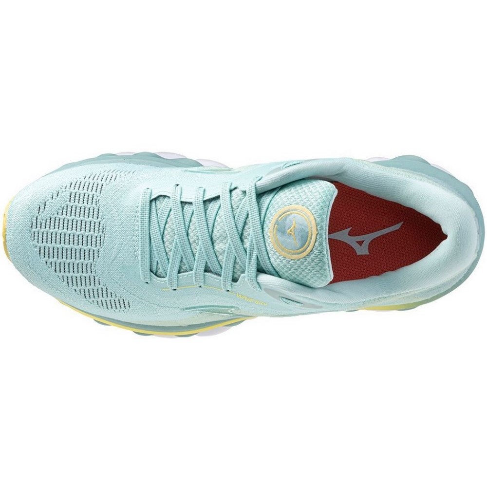 Жіночі бігові кросівки Mizuno WAVE SKY 7 J1GD2302-73