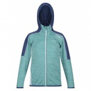 Дитячий фліс Regatta Burnton RKA390-BKQ