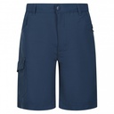 Дитячі шорти Regatta Sorcer Shorts II RKJ106-68E