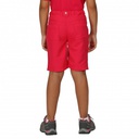 Дитячі шорти Regatta Sorcer Shorts II RKJ106-D4D