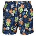 Чоловічі шорти для плавання Regatta Loras Swim Short RMM014-JM4