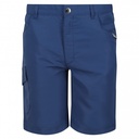 Дитячі шорти Regatta Sorcer Shorts II RKJ106-K16