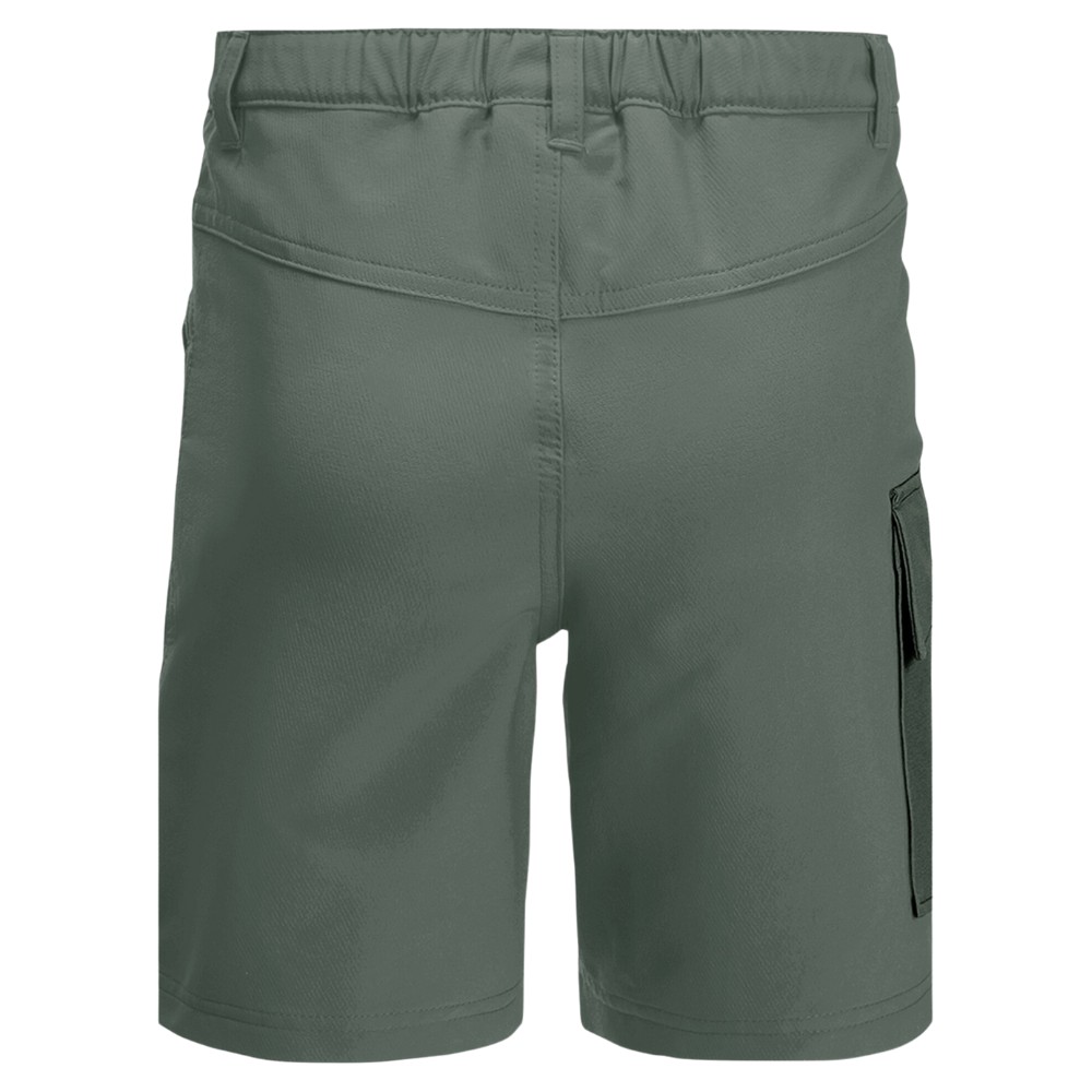 Шорти дитячі Jack Wolfskin ACTIVE SHORTS K 1609341_4311