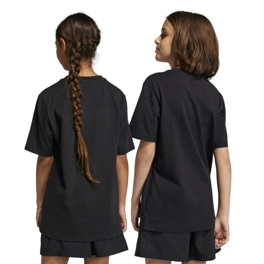 Дитяча футболка Adidas U BL TEE IC6855