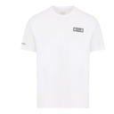 Чоловіча спортивна футболка ARMANI T-SHIRT 3DPT24-PJUVZ