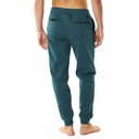 Чоловічі утеплені штани Rip Curl ANTI SERIES DEPARTED TRACKPANT CPABO9-76