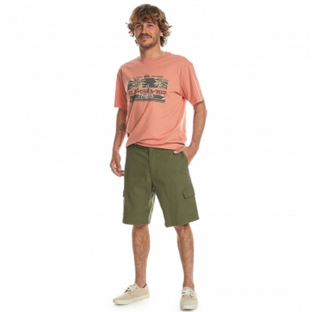 Чоловічі шорти Quiksilver MWCARGOSHORT WKST EQYWS03861-GPH0