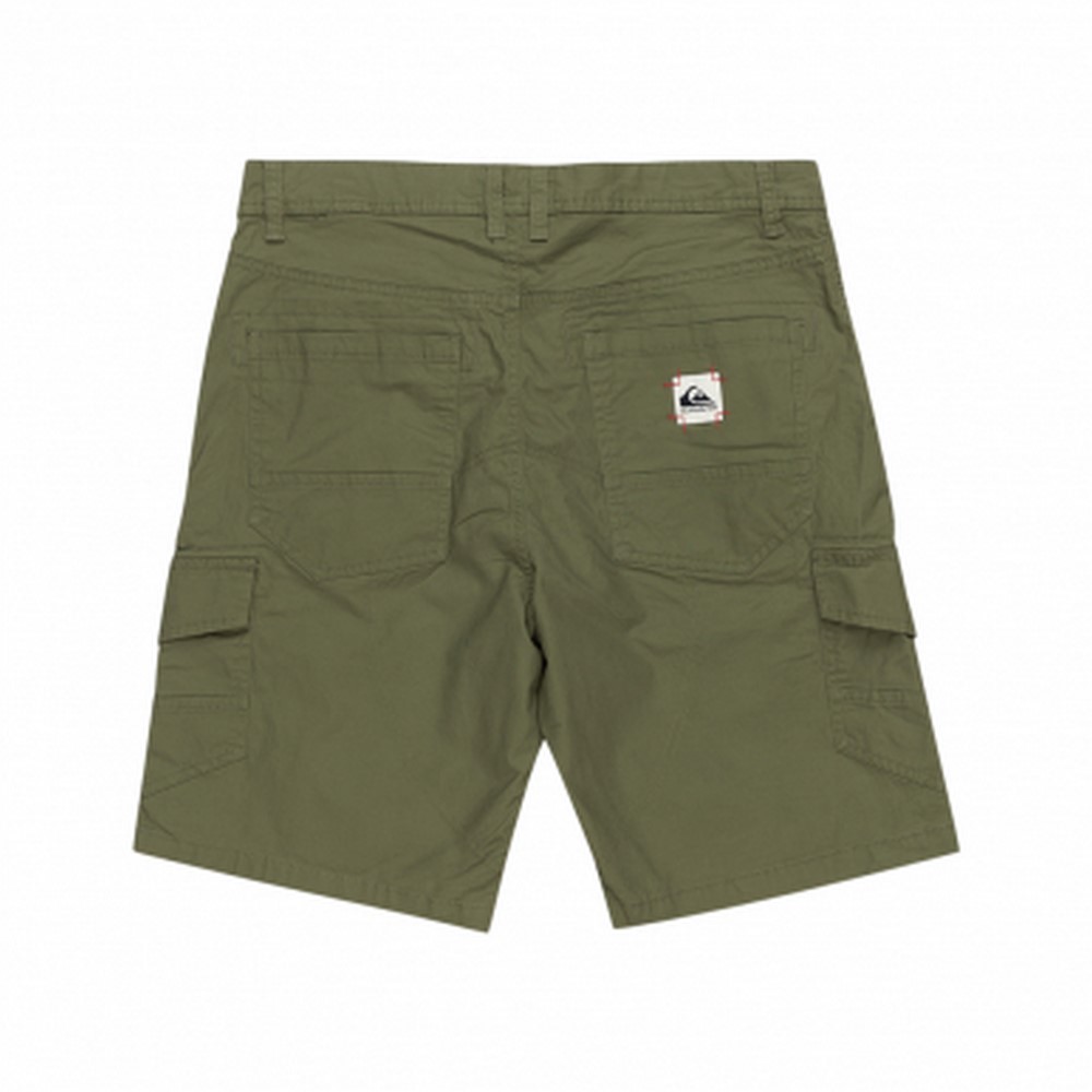 Чоловічі шорти Quiksilver MWCARGOSHORT WKST EQYWS03861-GPH0