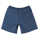 Чоловічі шорти Quiksilver TAXER WKST AQYWS03234-BQY0