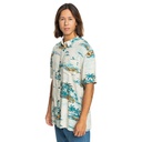 Чоловіча теніска Quiksilver LONGMANHILLSS WVTP EQYWT04575-WDW6