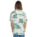 Чоловіча теніска Quiksilver LONGMANHILLSS WVTP EQYWT04575-WDW6