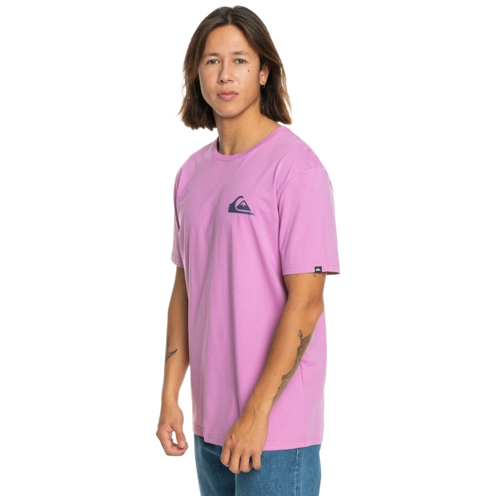 Чоловіча футболка Quiksilver MWMINILOGO TEES EQYZT07657-PHP0
