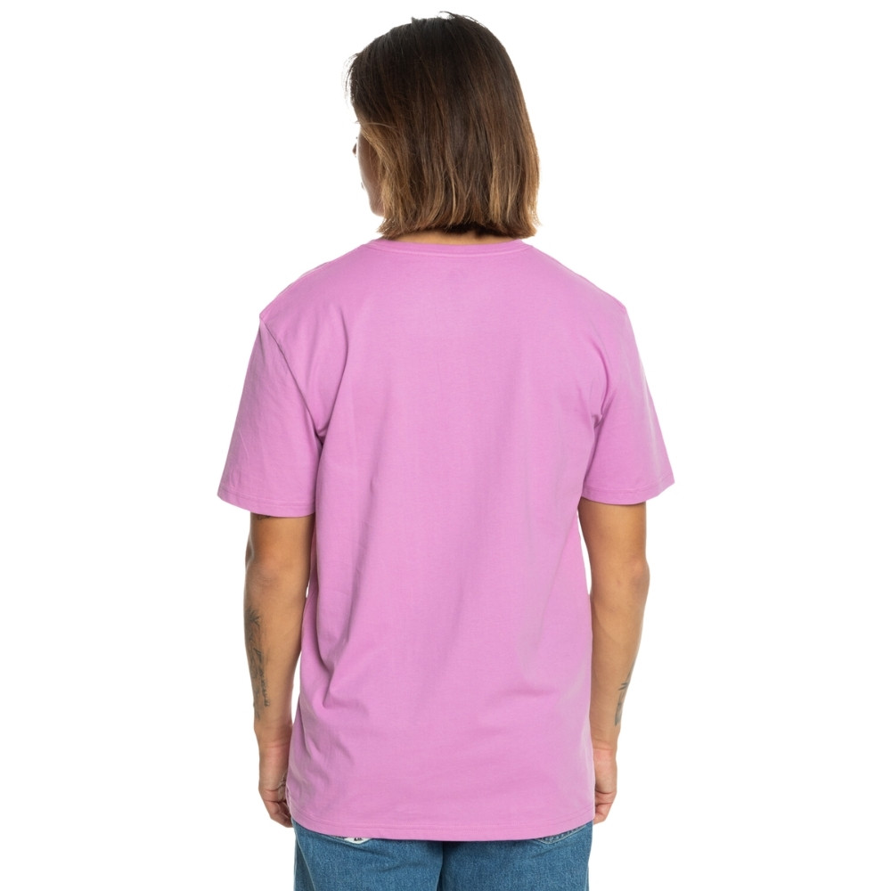 Чоловіча футболка Quiksilver MWMINILOGO TEES EQYZT07657-PHP0