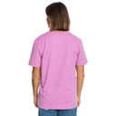 Чоловіча футболка Quiksilver MWMINILOGO TEES EQYZT07657-PHP0