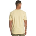 Чоловіча футболка Quiksilver MWMINILOGO TEES EQYZT07657-YED0
